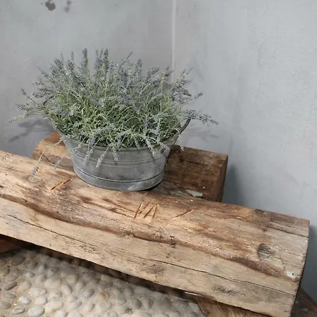 Piccola Nel Centro Storico *